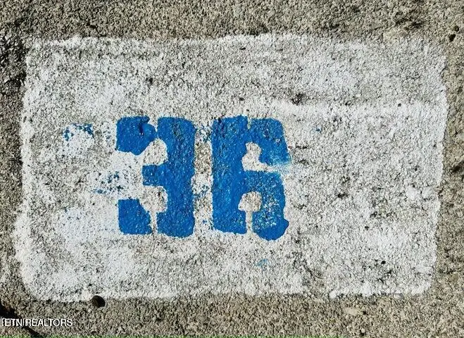 Lot 36 Highway 73, Townsend, TN 37882 - #2
