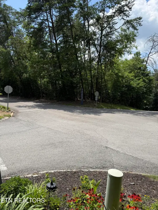 Point Harbour Drive, Lenoir City, TN 37772