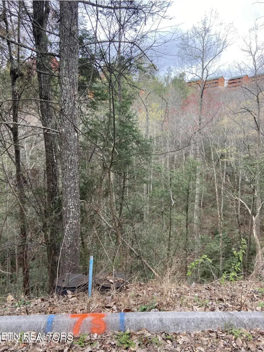 Lot #73 Smoky Ridge Way, Sevierville, TN 37862 - #2