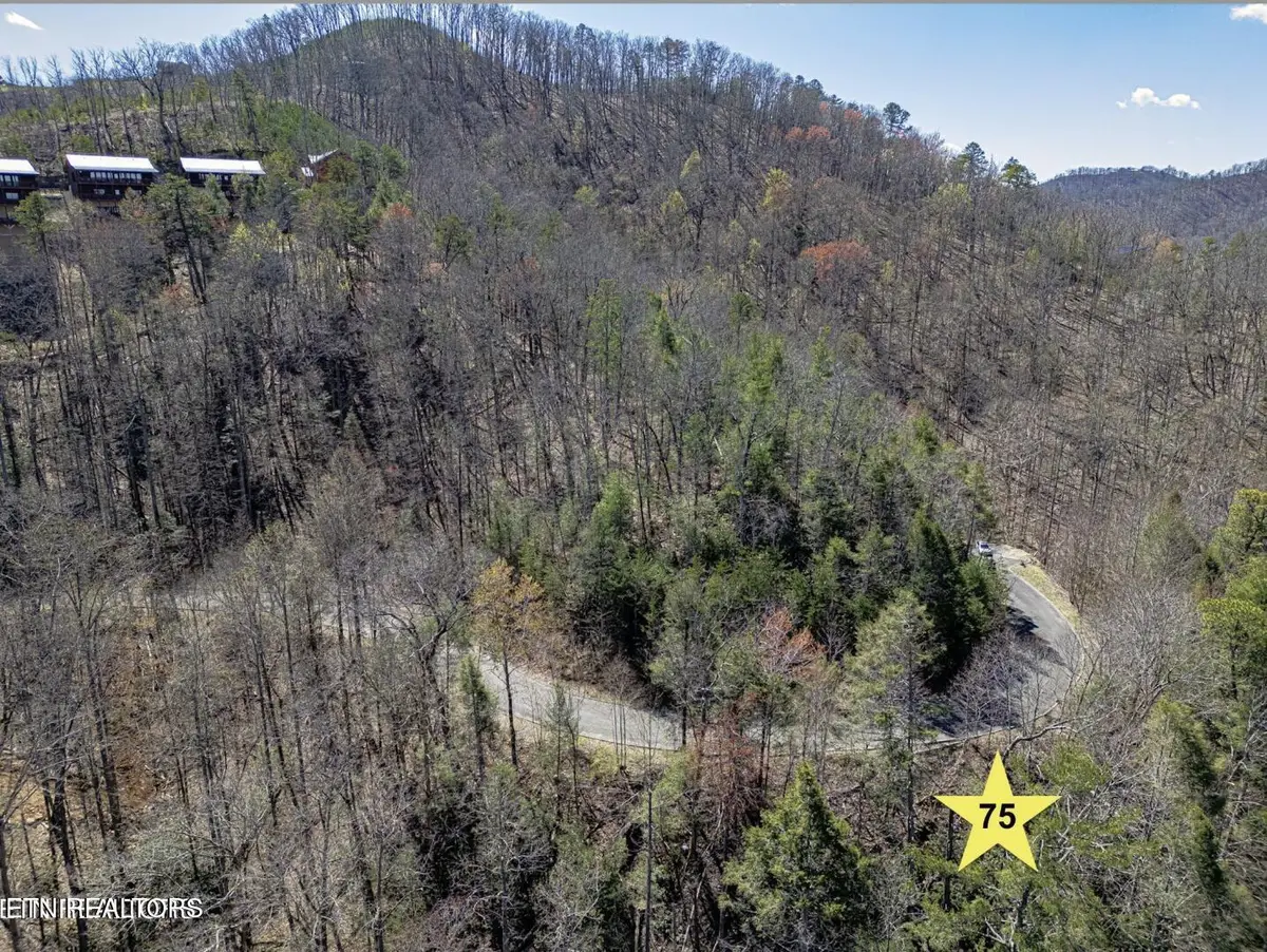 Lot #75 Smoky Ridge Way, Sevierville, TN 37862 - #1