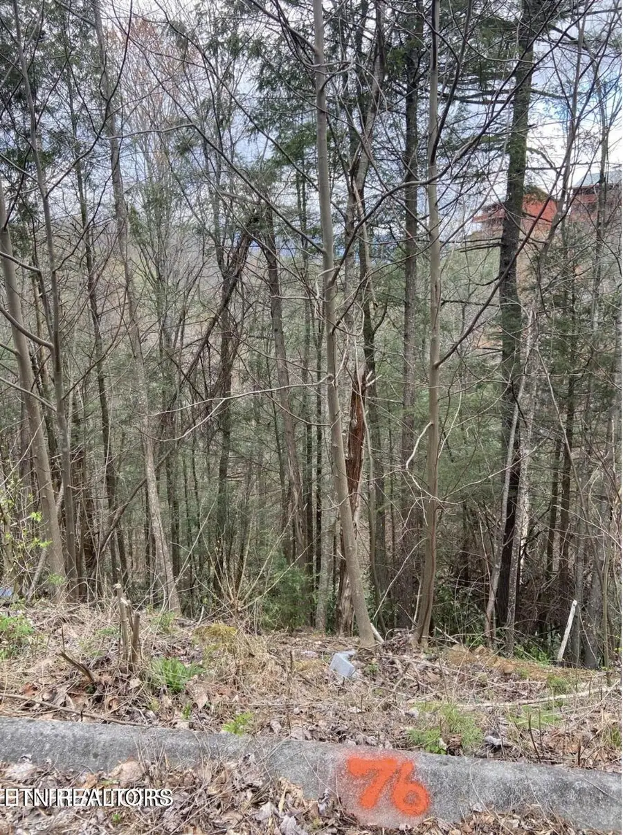 Lot #76 Smoky Ridge Way, Sevierville, TN 37862 - #2