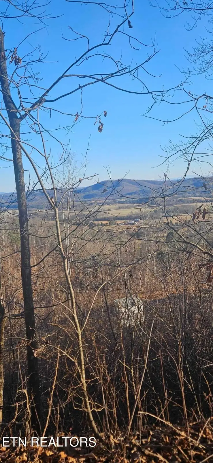 Greene Lane E Of, Lafollette, TN 37766 - #2