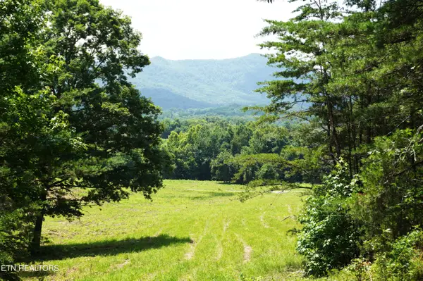 00 Rhyne Camp Rd, Newport, TN 37821