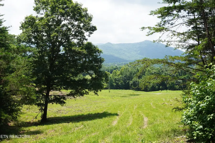 00 Rhyne Camp Rd, Newport, TN 37821 - #2