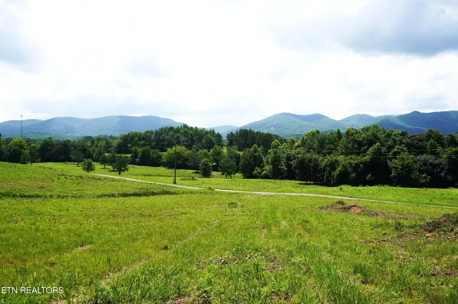 00 Rhyne Camp Rd, Newport, TN 37821 - #3