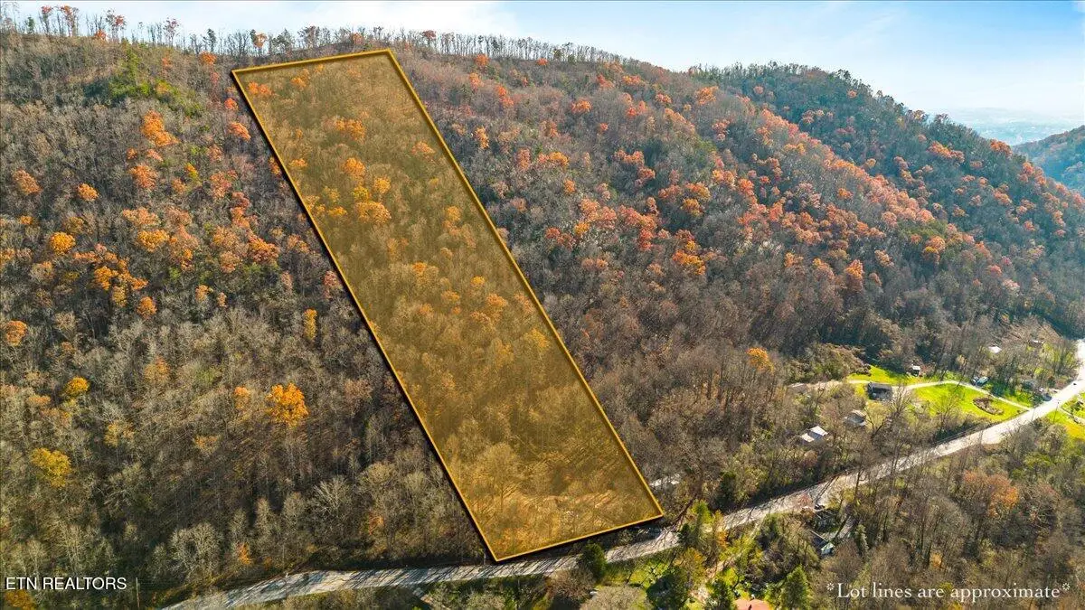 1224 Us 25w, Lafollette, TN 37766 - #1