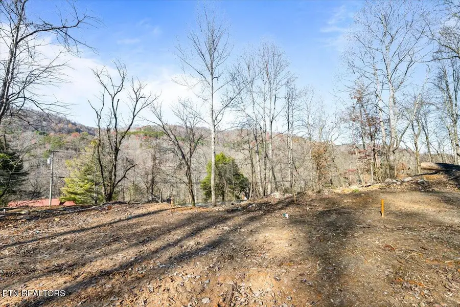 1224 Us 25w, Lafollette, TN 37766 - #3