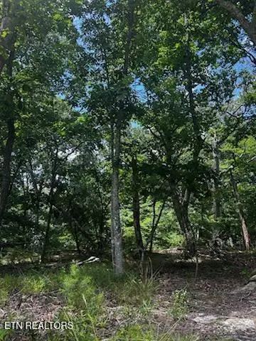 130 Markham Lane, Fairfield Glade, TN 38558 - #2
