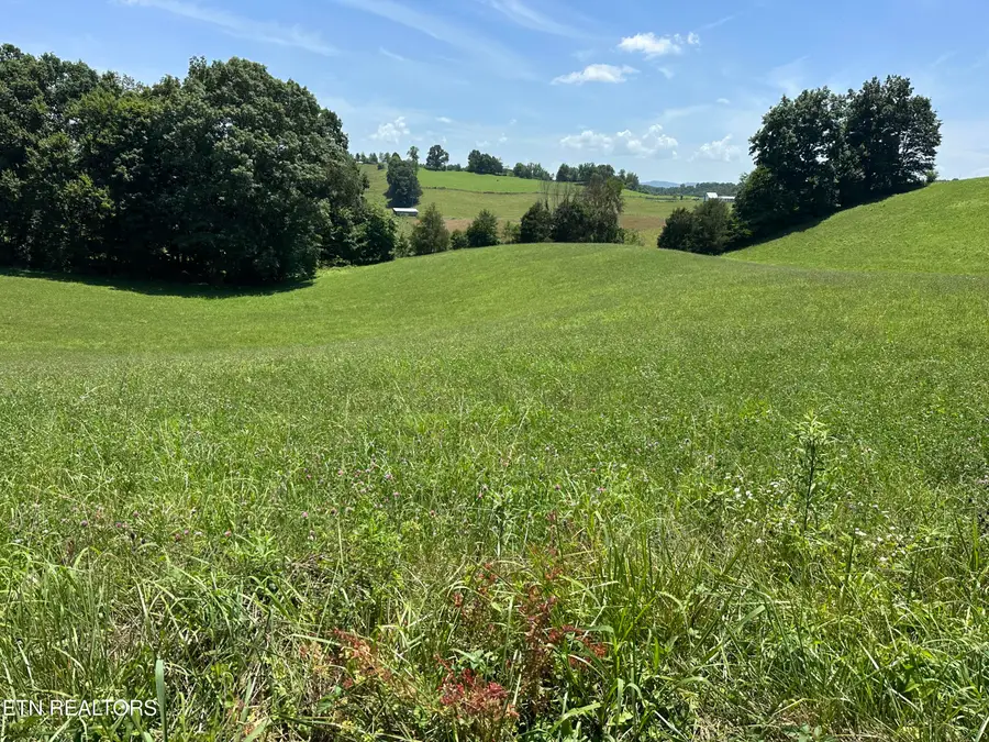 140 Cheak Drive, Rose Hill, VA 24281 - #3