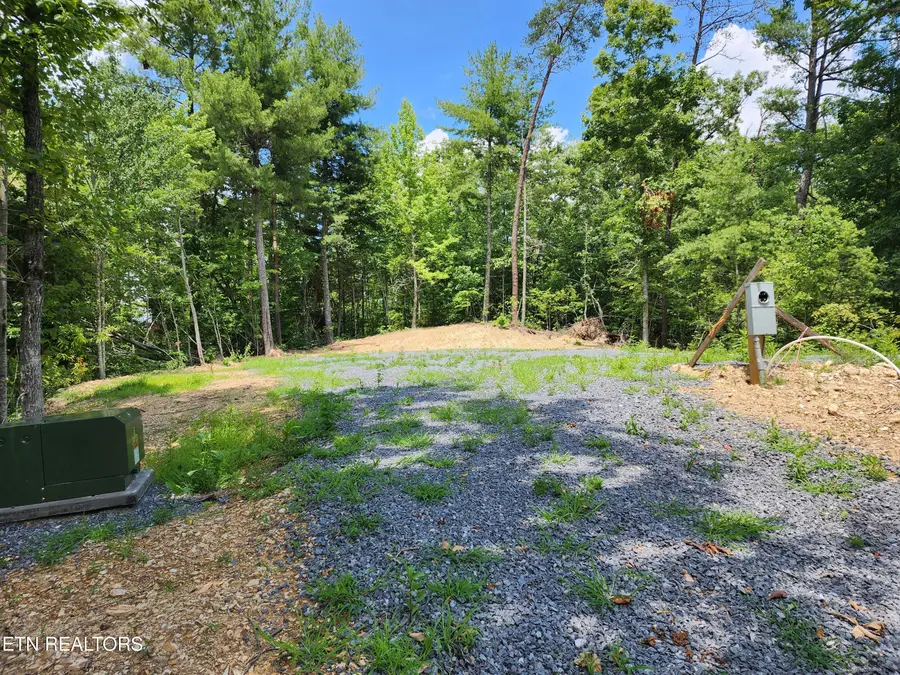 000 Tiger Lilly Drive, Cosby, TN 37722 - #3