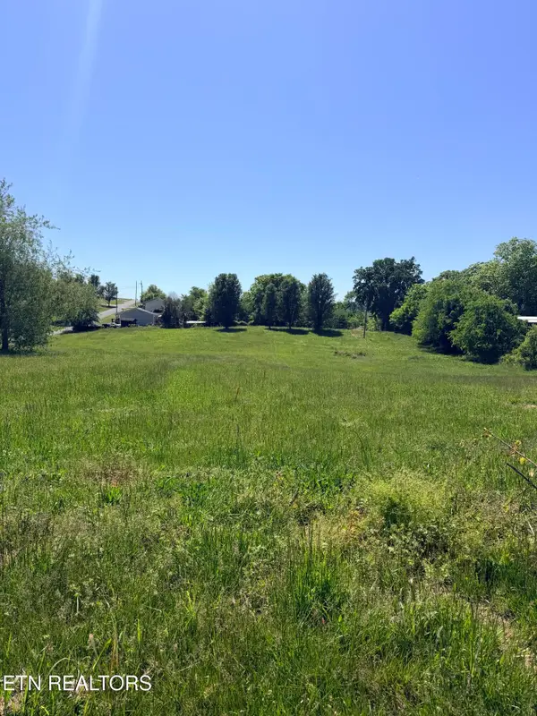 2058 Walter Drive #LOT 2, Bulls Gap, TN 37711