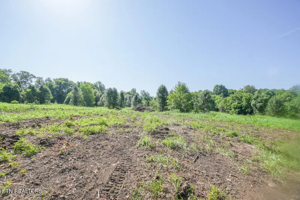 Cusick Rd, Alcoa, TN 37701 - #1
