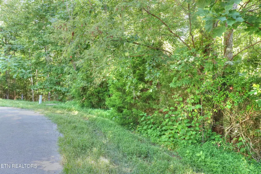 Lot 432 Beryl Court, New Tazewell, TN 37825 - #2