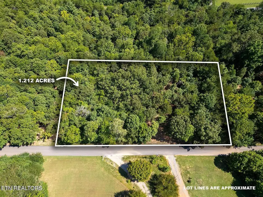 125 Pinecrest Drive, Loudon, TN 37774 - #2