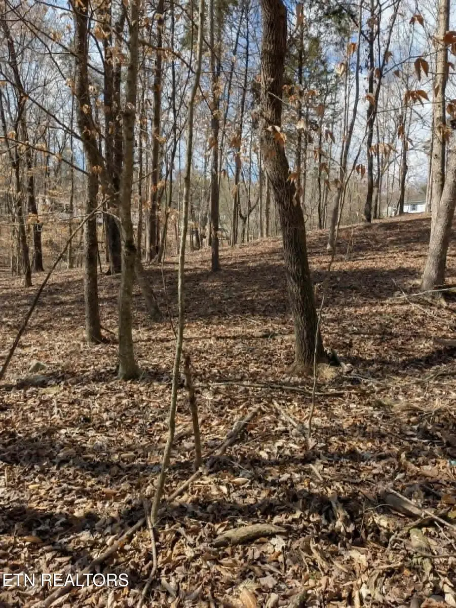 125 Pinecrest Drive, Loudon, TN 37774 - #3