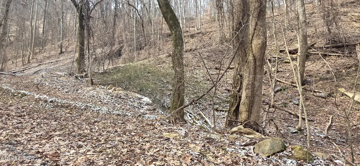 Lot 4 Balsam Slopes Rd, Sevierville, TN 37862 - #1