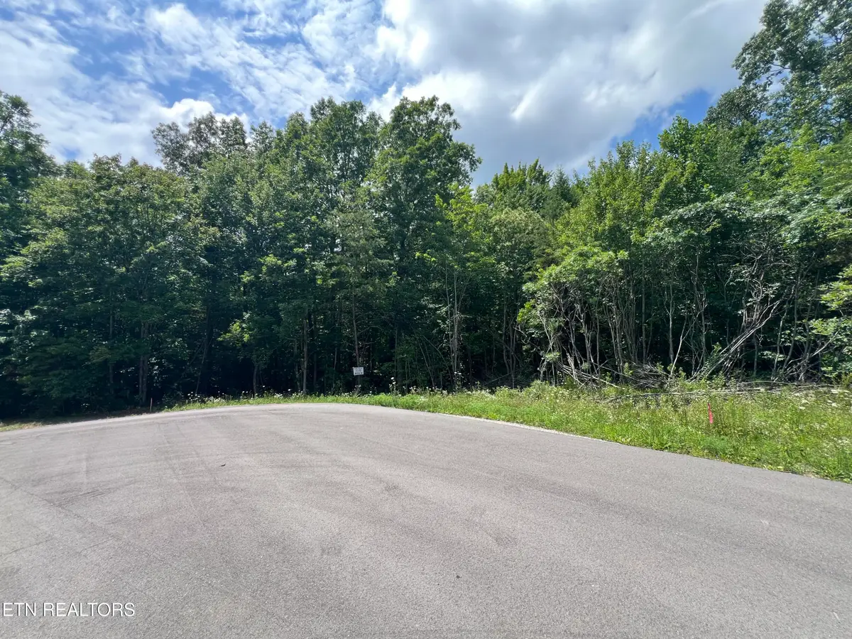 Lot 200 Elzies Way, Grimsley, TN 38565 - #1