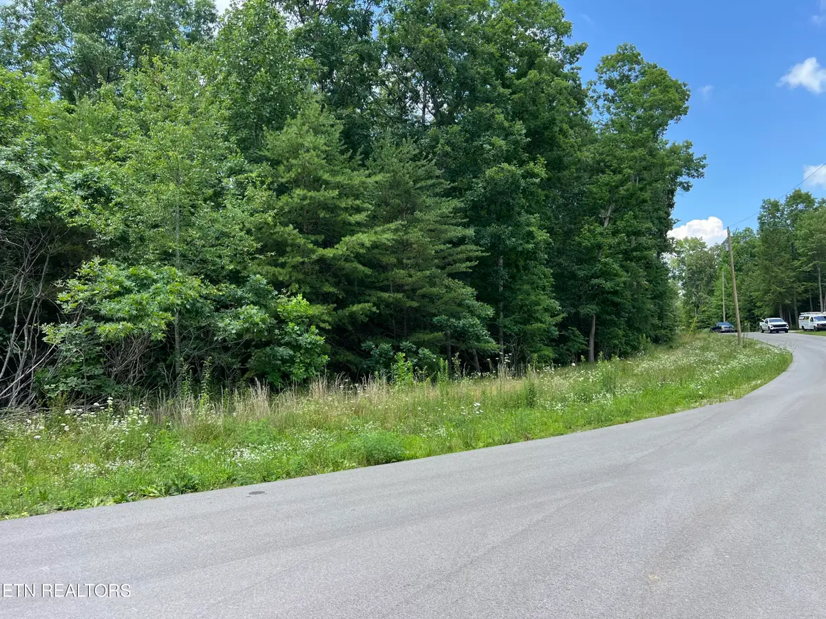 Lot 201 Elzies Way, Grimsley, TN 38565 - #1