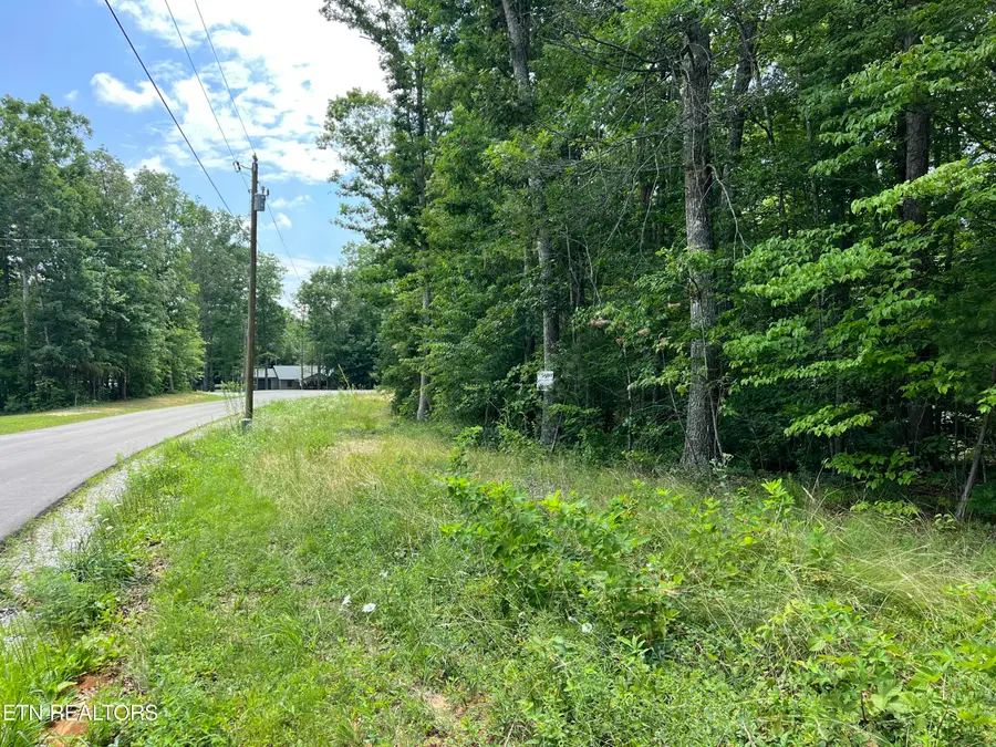 Lot 201 Elzies Way, Grimsley, TN 38565 - #2