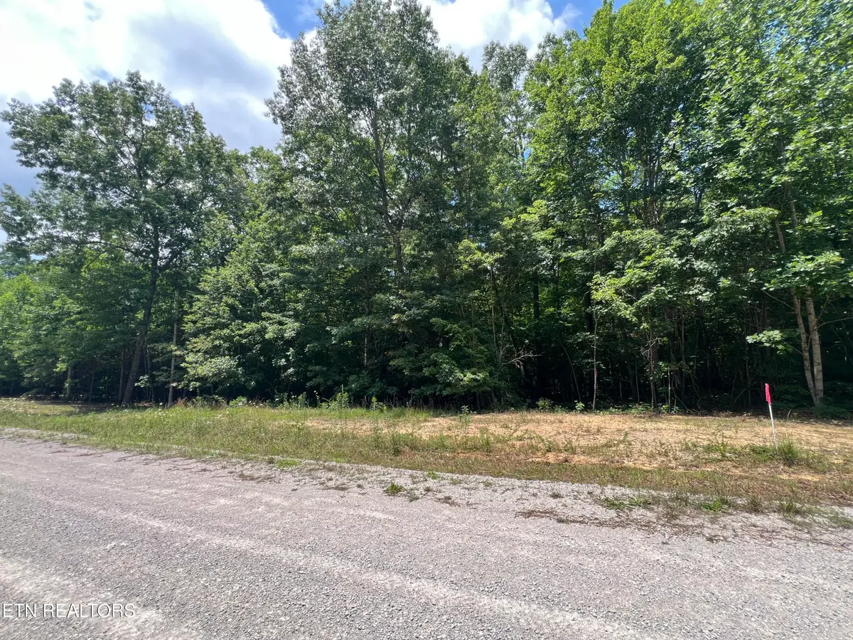 Lot 216 Hargis Rd, Grimsley, TN 38565 - #1