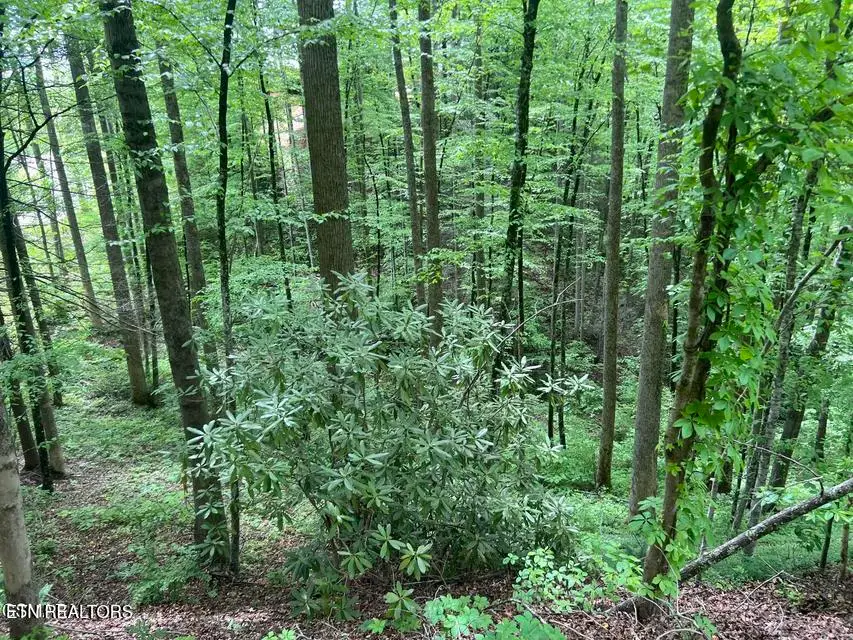 Lot 3 Old Cartertown Rd, Gatlinburg, TN 37738 - #2