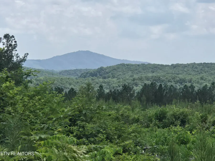 Owl Ridge Way, Sunbright, TN 37872 - #3