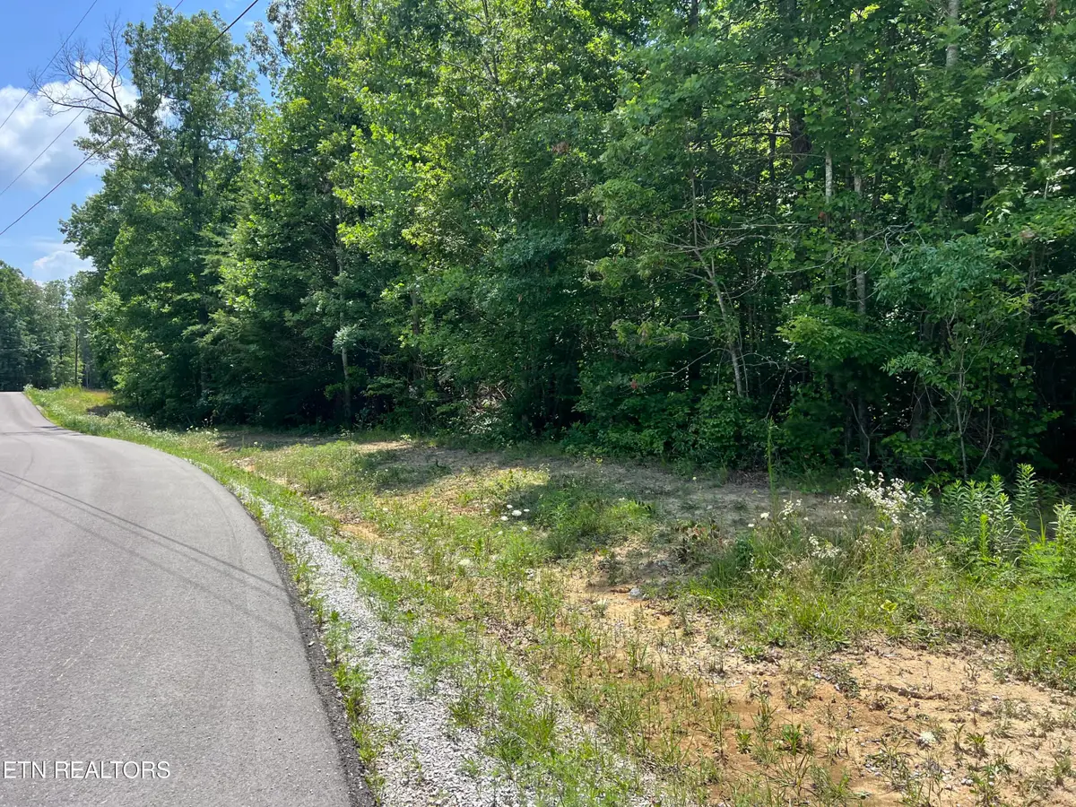 Lot 202 Elzies Way, Grimsley, TN 38565 - #1