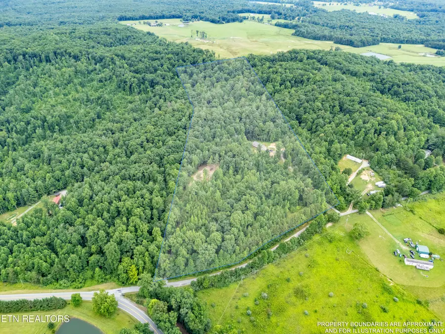 131 Bart Woolum Rd, Lancing, TN 37770 - #2