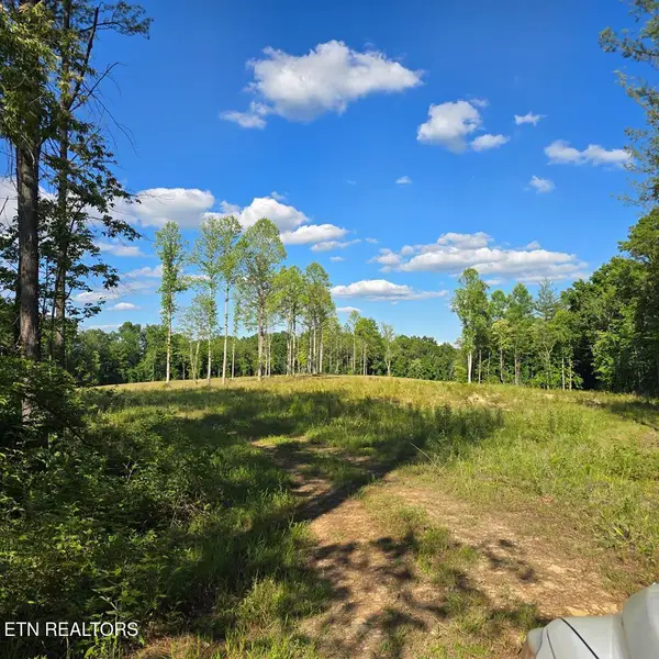 50+/- AC Red Hill Rd, Sunbright, TN 37872