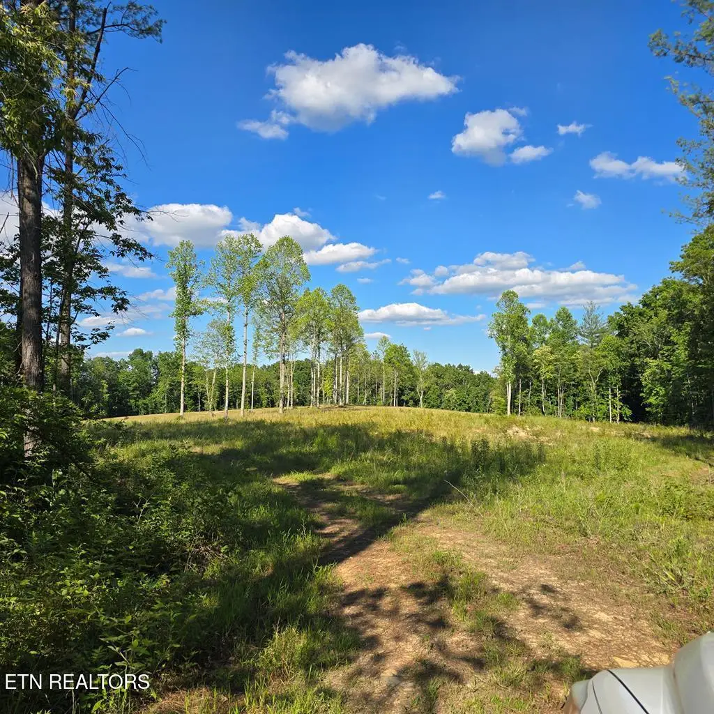 94.4 AC Red Hill Rd, Sunbright, TN 37872 - #1