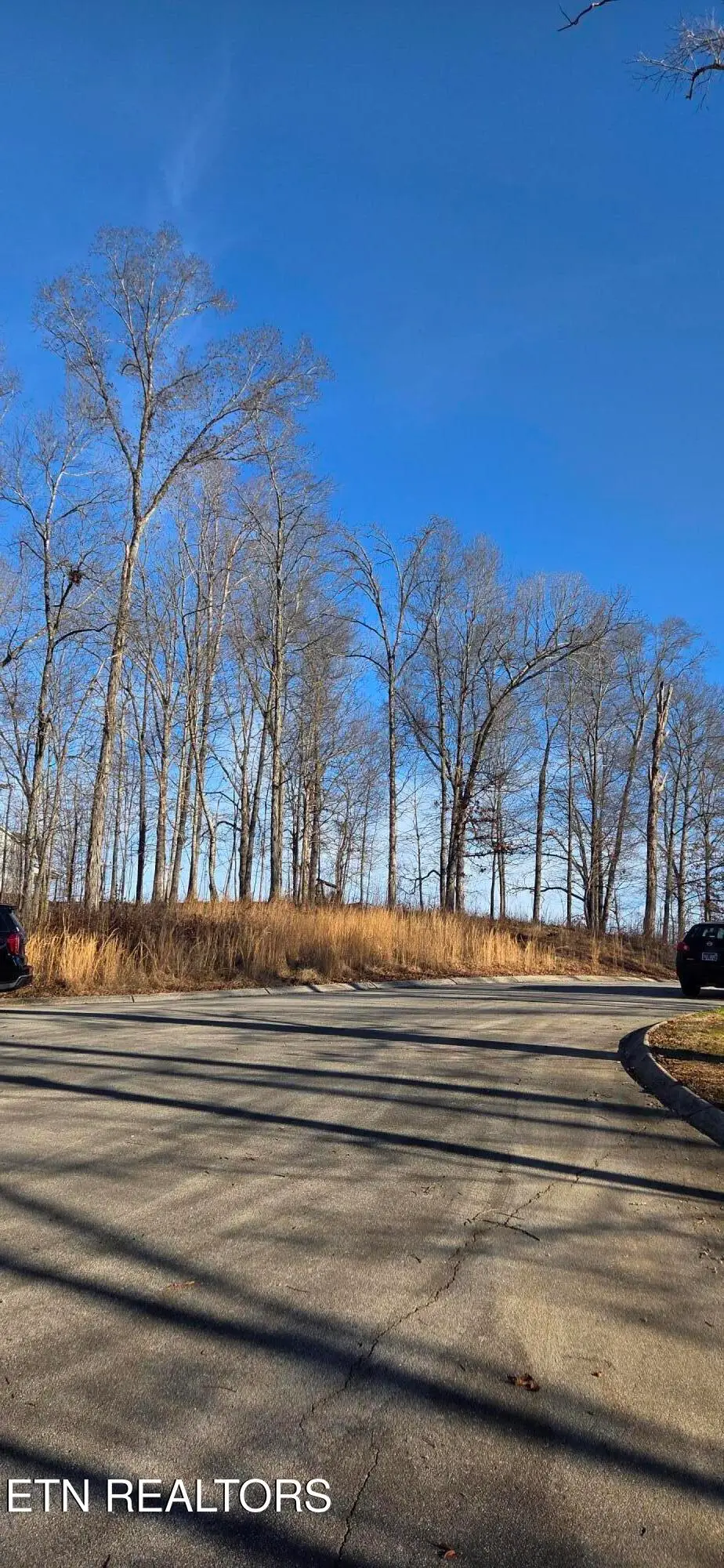 Lot 3 Sugar Maple Court, Madisonville, TN 37354 - #1