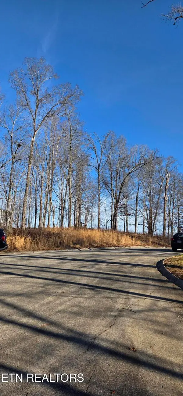 Lot 3 Sugar Maple Court, Madisonville, TN 37354