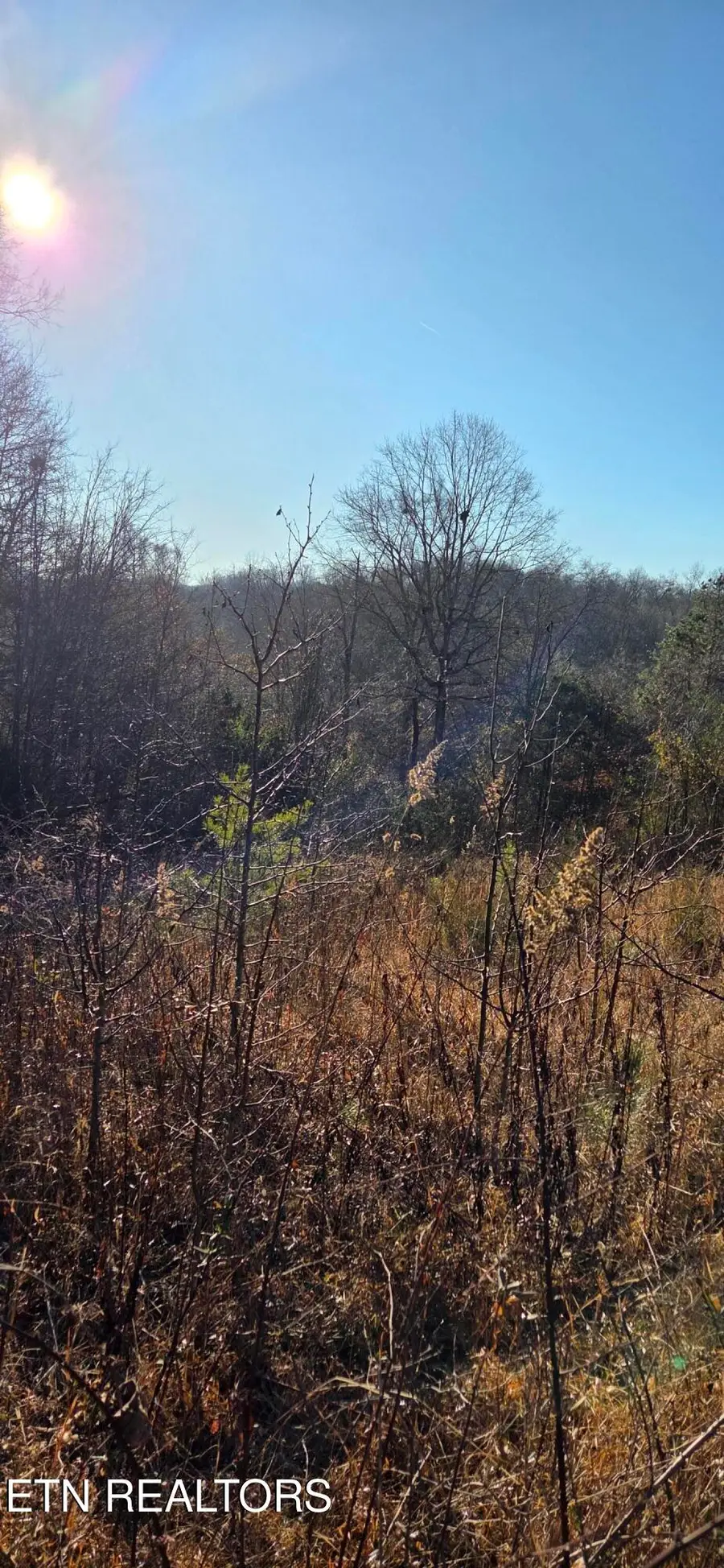 Lot 3 Sugar Maple Court, Madisonville, TN 37354 - #3