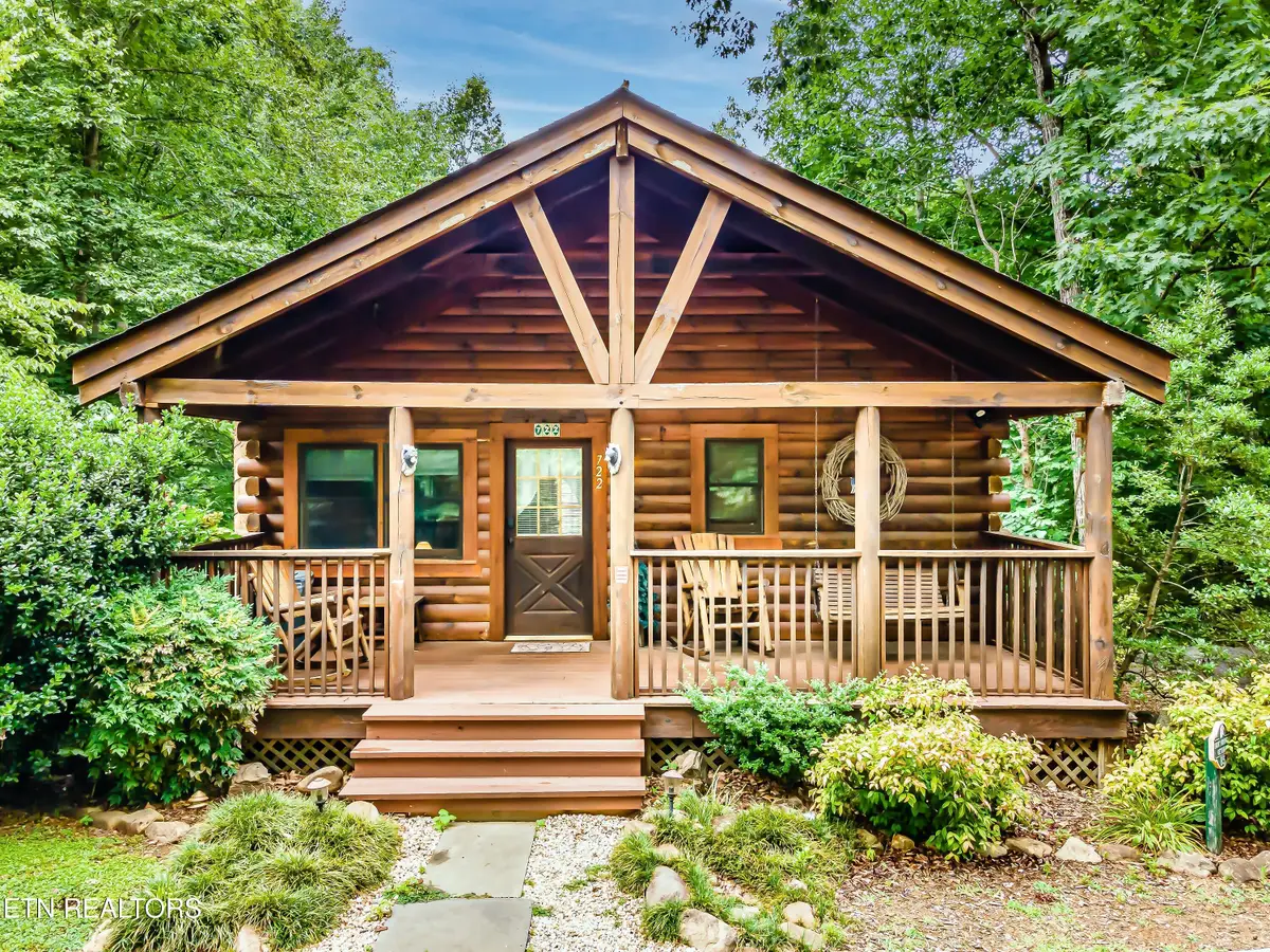 722 Nighthawk Way, Pigeon Forge, TN 37863 - #1