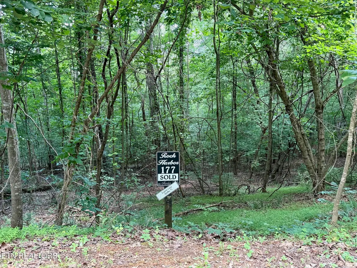 Moonstone Lane, New Tazewell, TN 37825 - #1
