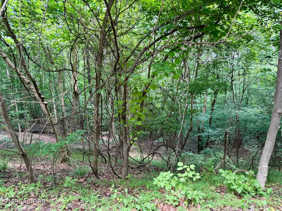 Moonstone Lane, New Tazewell, TN 37825 - #3