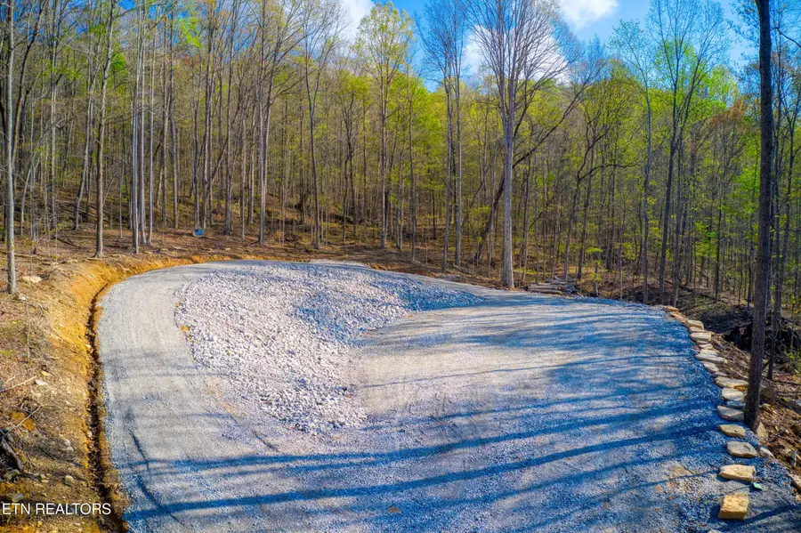 317 Cheyenne Drive, Jamestown, TN 38556 - #3