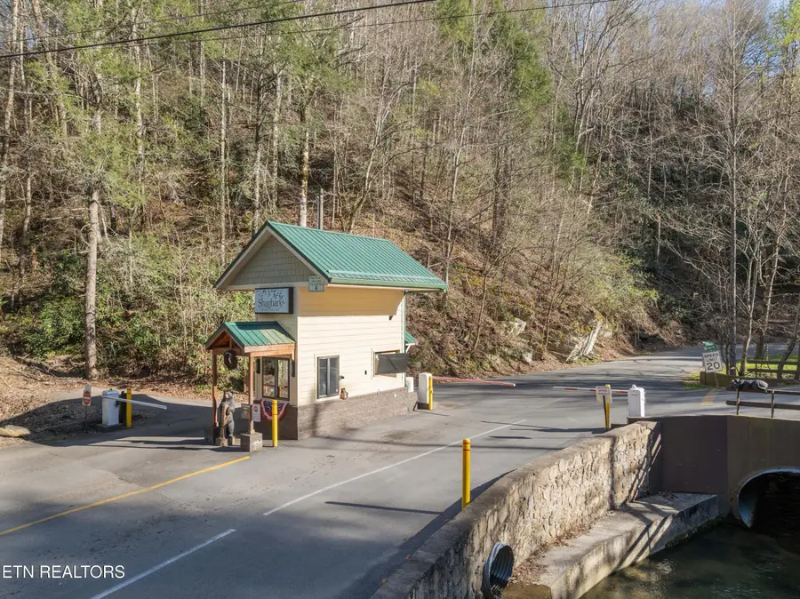 Lot 29 Black Walnut Flats Rd, Sevierville, TN 37862 - #3