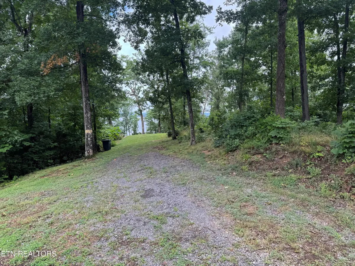 Bonnevista Drive, White Pine, TN 37890 - #1