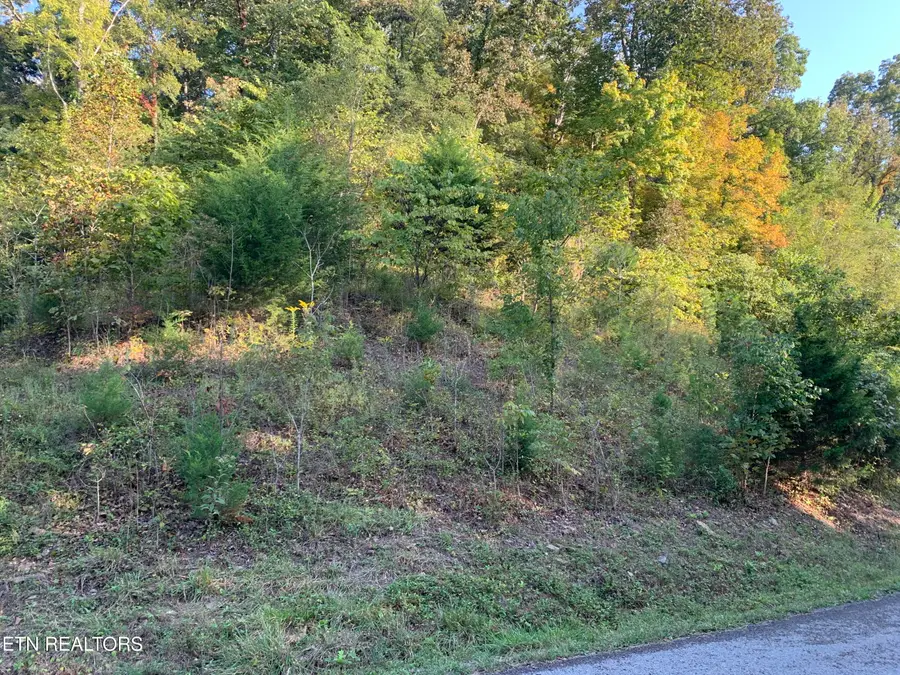 0 Russell Brothers Rd #732, Sharps Chapel, TN 37866 - #2