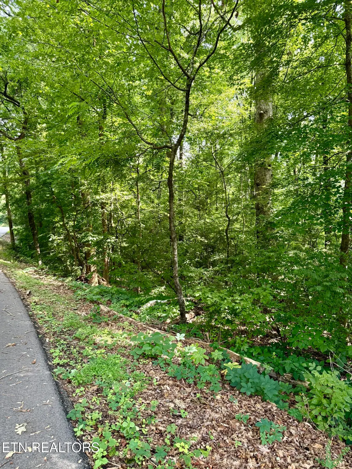 0 Edgewood Drive, Sweetwater, TN 37874 - #1