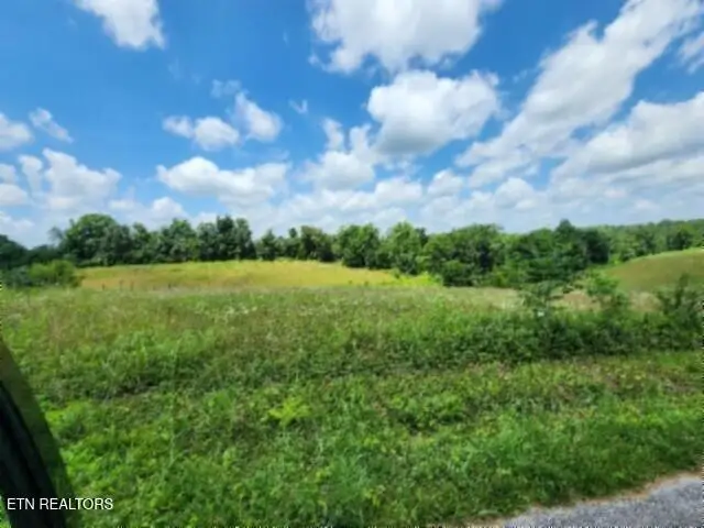 Lot 10 Rose Hill Ed Rd, Red Boiling Springs, TN 37150 - #3