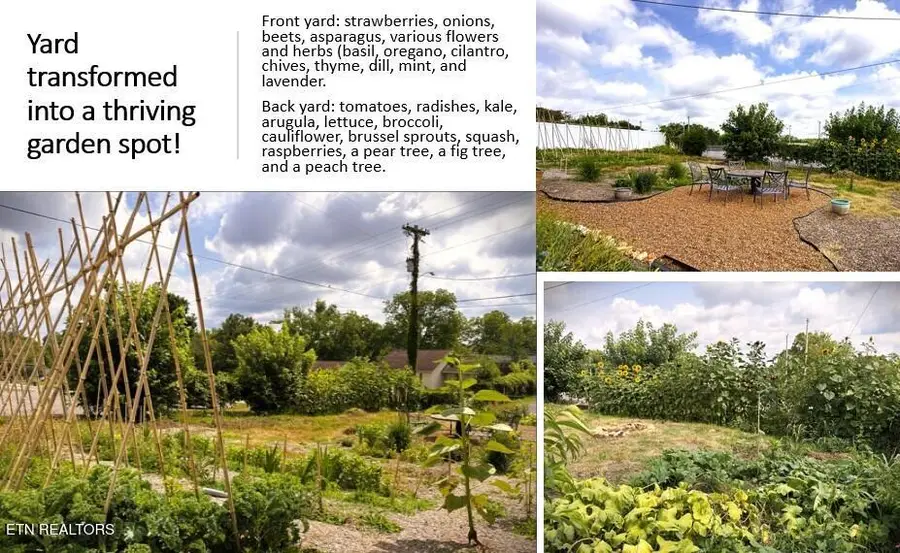 298 E Jere Whitson Rd, Cookeville, TN 38501 - #3