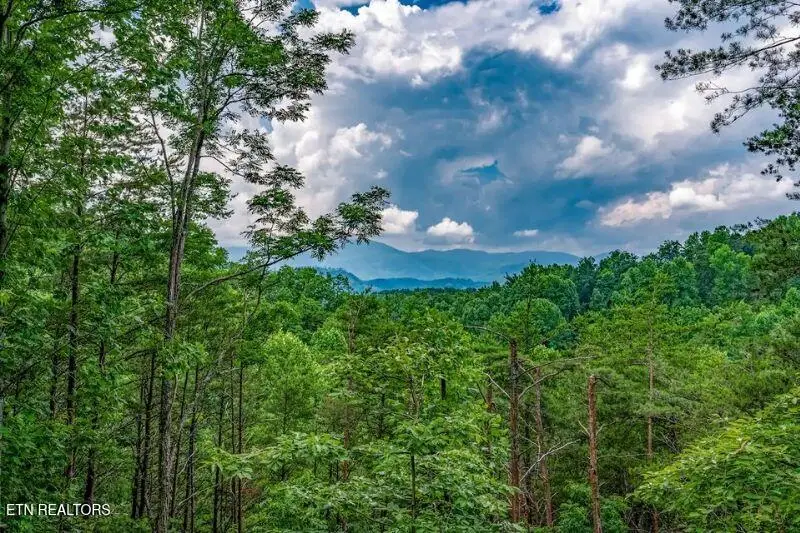 712 Octagon Drive, Gatlinburg, TN 37738 - #3