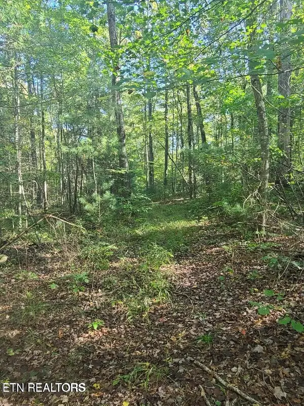 Hannah Davidson Rd, Sunbright, TN 37872