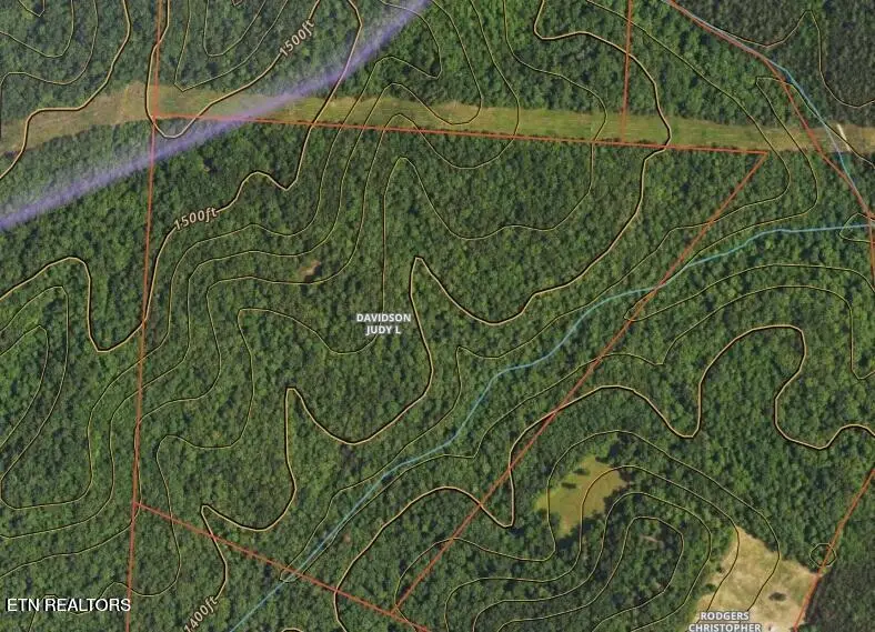 Hannah Davidson Rd, Sunbright, TN 37872 - #2