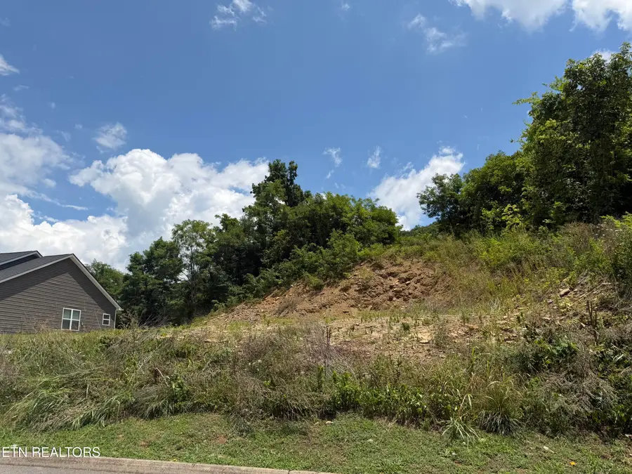 Lot 73R-A Millstone Circle, Clinton, TN 37716 - #2