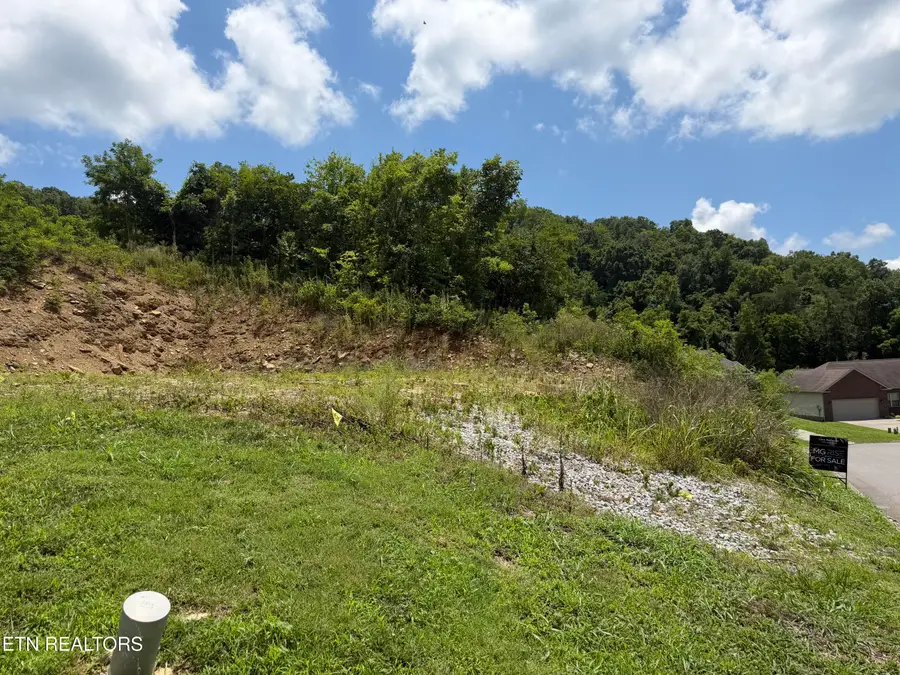 Lot 73R-A Millstone Circle, Clinton, TN 37716 - #3