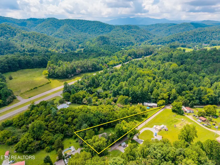 143 Old West Millers Cove Rd, Walland, TN 37886 - #3