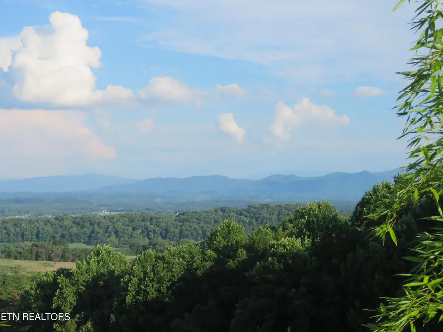 2425 Promise Lane, White Pine, TN 37890 - #2